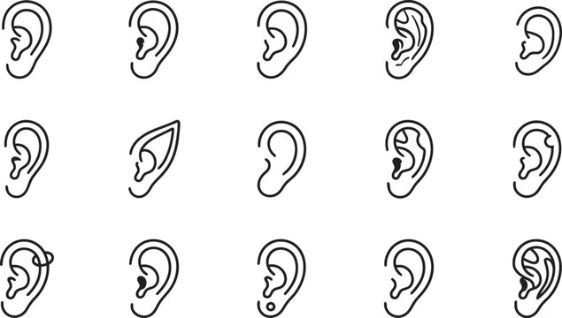 A detailed vector illustration set featuring various human ear shapes and anatomical structures isolated on a clean white background for design
