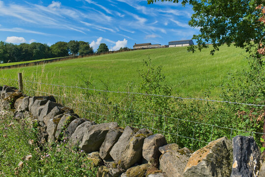 A sunny rural landscape features a dry stone wall in the foreground, leading to green fields and distant farm buildings under a blue sky - Church Wood and Old Quarry, Bury, UK
