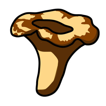 Chanterelle Mushroom Black and White Vector Illustration