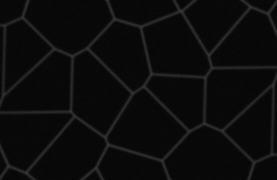 Abstract geometric tessellation pattern in black