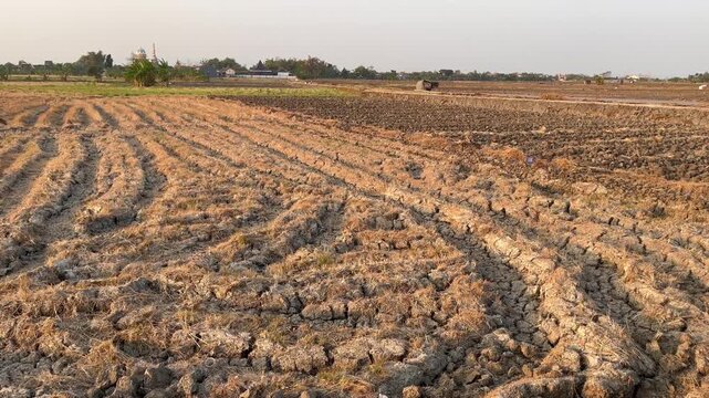 Curved dry agricultural soil rows after harvesting season