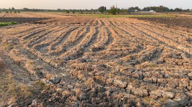 Vast agricultural soil texture after harvesting season in countryside