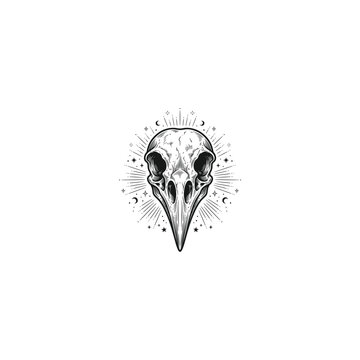 Hand drawn vintage bird skull illustration with magical stars, mystical line art vector graphic design element