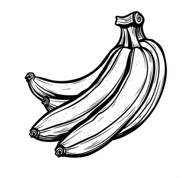 Three bananas, black and white coloring page