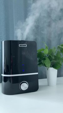 Vertical video. A modern humidifier works in the room. A black gadget on a white table, a green plant, a comfortable humidity level for a healthy microclimate