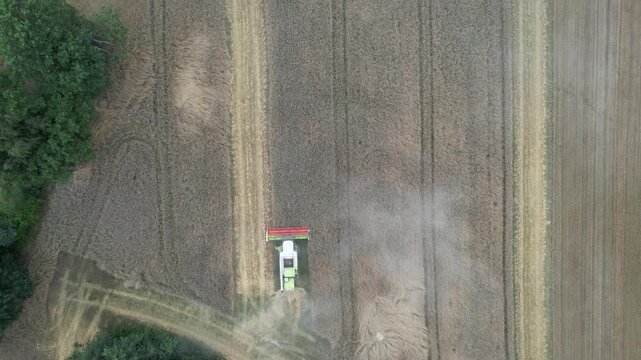 Aerial top down view of combine harvester threshing wheat