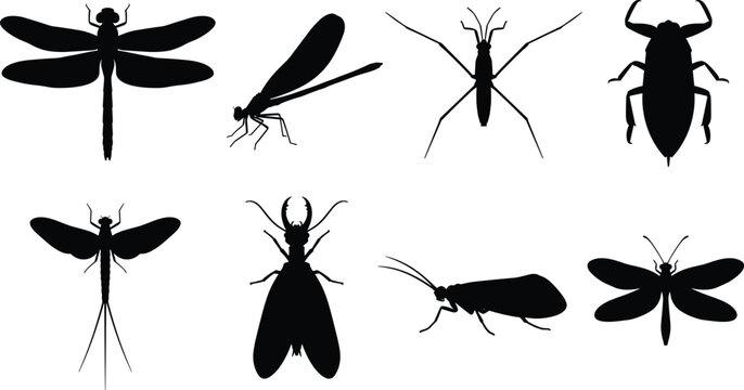 Aquatic insects silhouettes vector icon set