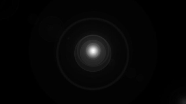 Paparazzi Camera Flashes Animation on Black Background - Red Carpet and Concert Lens FlaresPaparazzi Camera Flashes Animation on Black Background - Red Carpet and Concert Lens Flares.