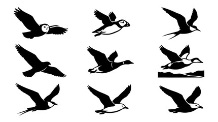 Fototapeta premium Shorebirds and puffin silhouettes for aquatic wildlife graphics.