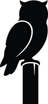 Majestic Owl Silhouette Collection Black Vector Bird of Prey Isolated on White Background