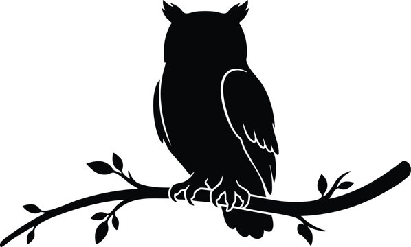 Majestic Owl Silhouette Collection Black Vector Bird of Prey Isolated on White Background