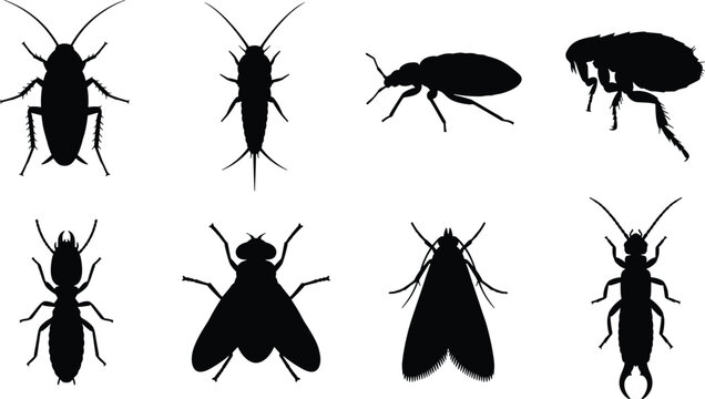 Pest insects silhouettes vector icon set