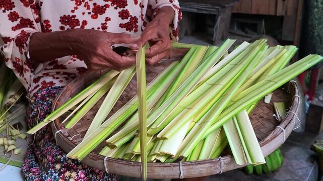 Close-Up of Elderly Woman Hands Stripping Young Palm Leaves with Knife for Traditional Crafts