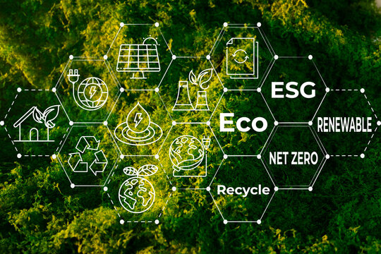 ESG and green technology concept. Hexagonal network with renewable energy, net zero, and eco-friendly icons overlaid on a natural green moss background.