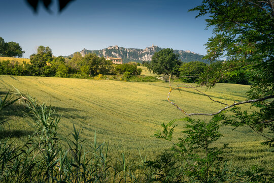 Cultivation through the seasons. Wheat field in San Marino.
