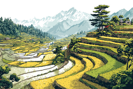 Terraced Rice Fields in Mountain Landscape isolated