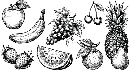 Hand drawn collection of various fresh fruits including apple banana grapes cherry pineapple strawberry and watermelon slice illustration © Fatema