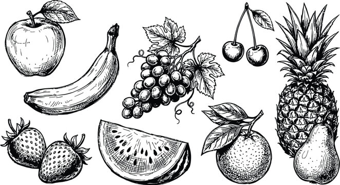 Hand drawn collection of various fresh fruits including apple banana grapes cherry pineapple strawberry and watermelon slice illustration