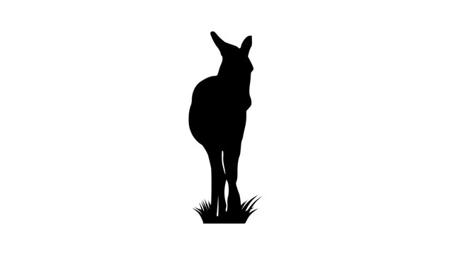donkey front view, black isolated vector silhouette