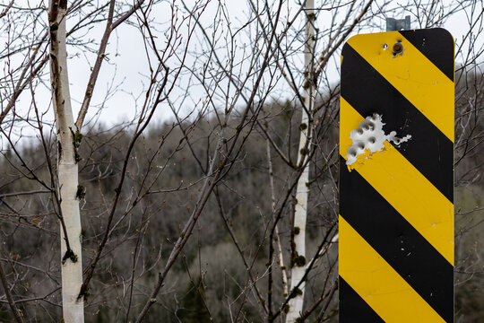 Parents, Quebec, 19 May 2026 : A yellow and black striped warning sign shows multiple bullet holes in a natural, wooded environment.