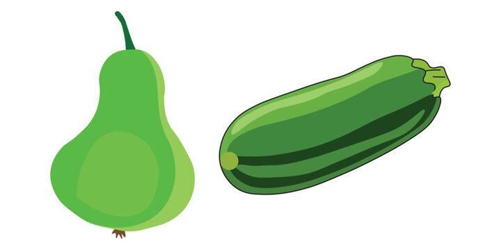Fresh green zucchini and pear vector illustration, organic summer vegetables and fruit set, healthy food icons isolated on white background