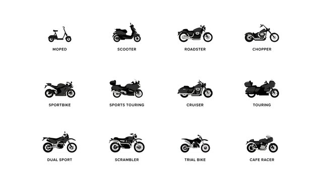 set of icons of animals