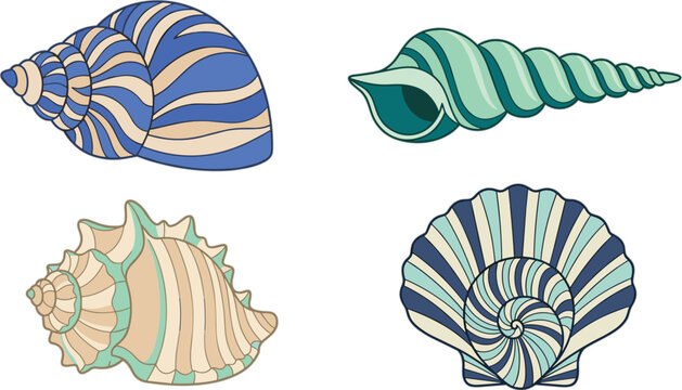 Beautiful sea shell and conch collection vector illustration set isolated on white background marine ocean life elements