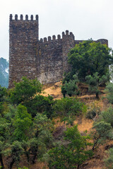 Obraz premium An ancient stone castle tower with battlements stands dramatically on a forested hilltop