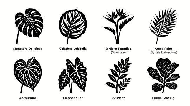 Tropical leaf vector icons set, black botanical foliage silhouettes including monstera and palm, 8 exotic houseplant leaf illustrations for branding