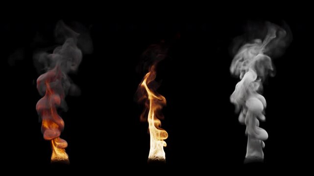 Set of three fire burning variants. The first variant has a lot of smoke. The second variant contains more fire. The third variant consists of white smoke. File contains Alpha Channel.