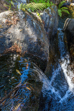 A small mountain stream trickles over large wet boulders