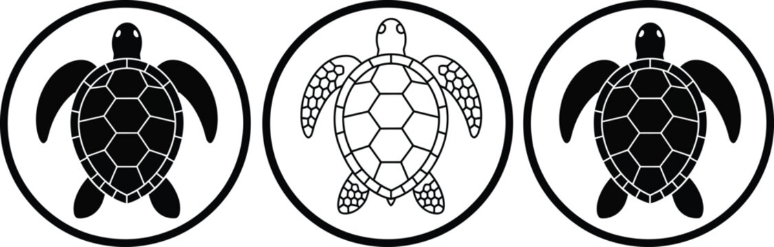 Three cartoon turtles with soccer ball pattern shells
