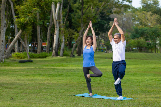 Senior asian man is practicing balance yoga in one leg standing while his daughter is supporting at the public park for elder longevity exercise and outdoor workout