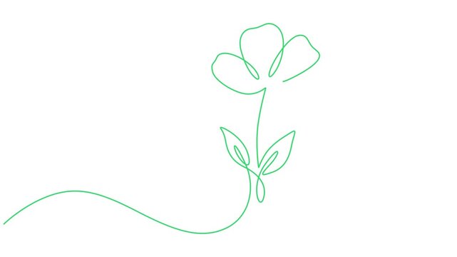 Animated continuous one line drawing of blooming flowers, Minimalist Single Line Flower Vector Art, Delicate Botanical Illustration, Elegant Floral Design, Continuous Line Drawing, Organic Nature Elem