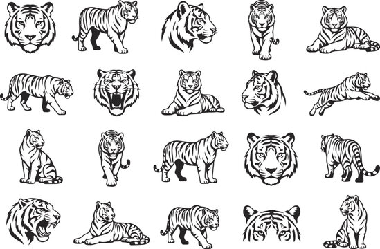 Tiger Vector Icon Collection, Bengal Tiger Silhouette Set, Wild Big Cat Animal Logo Bundle, Editable Black and White Tiger Illustration SVG EPS AIp