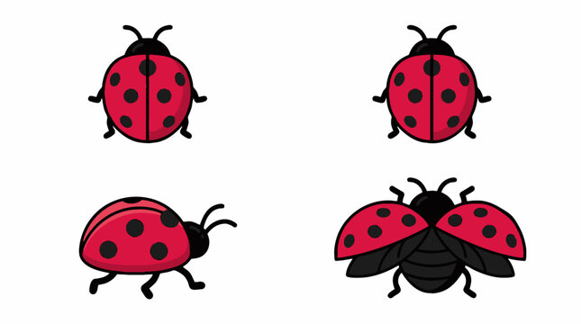 Red ladybug vector set, cute ladybird beetle icons in different poses, 4 cartoon insect illustrations for educational and nature design