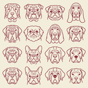 Set of sixteen large and droopy eared dog portraits with portrait collection illustration purebred domestic minimalist monochrome multiple animalia companion creature template