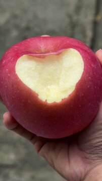 Hand Holding Bitten Red Apple Showing Fresh Fruit Texture
