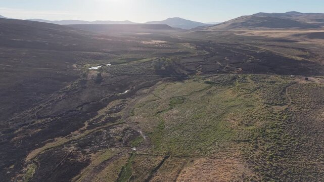 Drone overflight of Rush Creek, Lassen County, California, showing where the Biscar Fire was stopped by the riparian corridor.