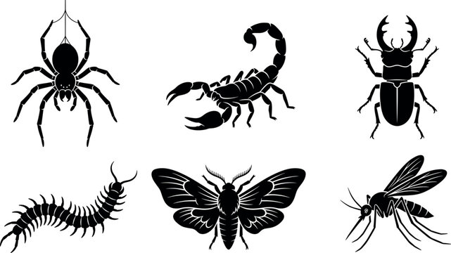 Creepy bugs and insects silhouette vector set featuring spider scorpion stag beetle centipede moth and mosquito