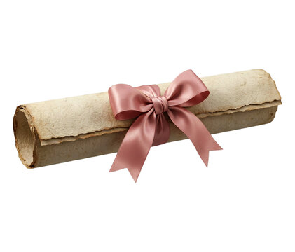 Vintage rolled parchment paper diploma tied with elegant dusty pink silk bow ribbon isolated on transparent background