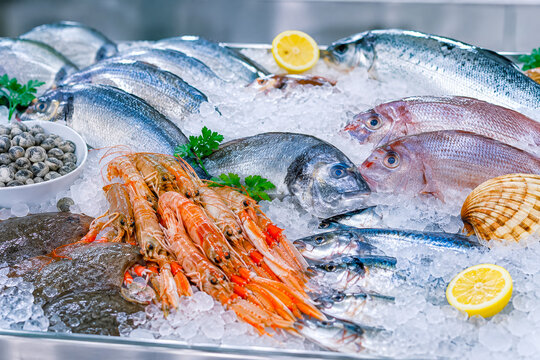 Fresh fish and shellfish display on crushed ice at seafood market