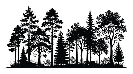 Coniferous And Deciduous Tree Silhouette Against White Background Silhouette © lamia