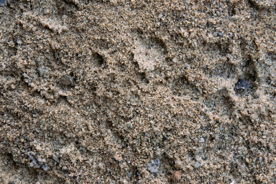 Detailed view of damp sand mixed with fine gravel and mineral grains, useful for mortar, concrete, masonry, drainage, landscaping, and construction material concepts.