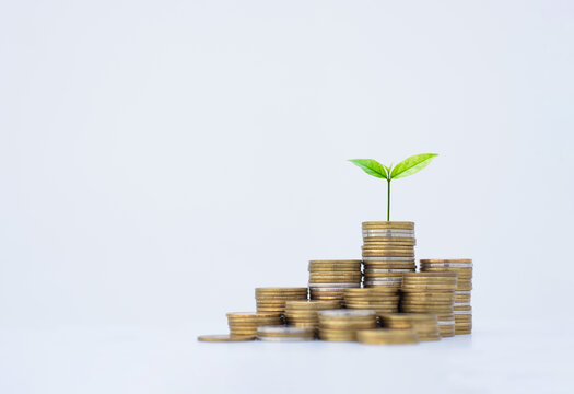 coin stack money saving concept. green leaf plant growth on rows of coin on white background. money matters tips to investment and business financial banking for Financial Wellness.money management.