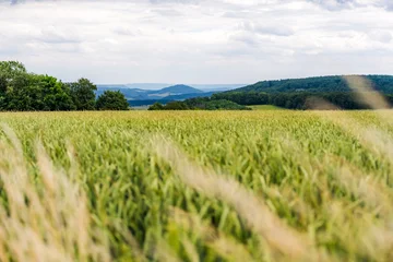 View from a Hill over Rolling Landscape in Central Germany with Field and Grass © Jens