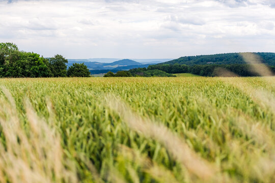 View from a Hill over Rolling Landscape in Central Germany with Field and Grass