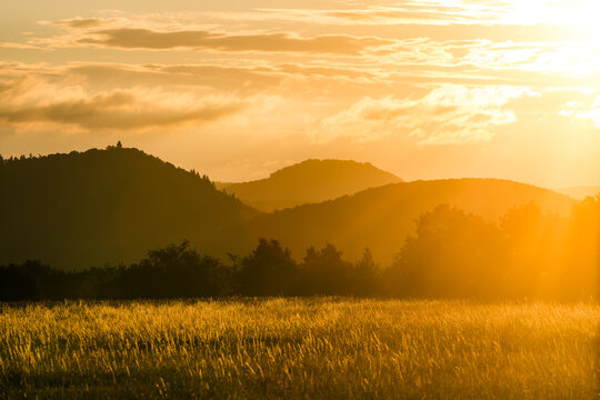 Hilly Landscape at Golden Hour with Golden Meadow in Foreground