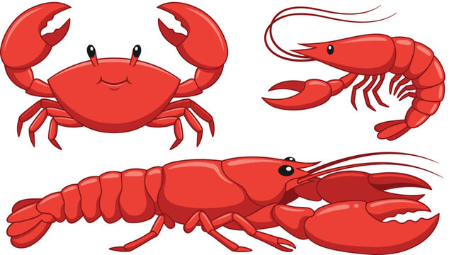 Delicious fresh gourmet seafood vector illustration collection set featuring bright red lobster crab and shrimp crustaceans for restaurant menu design [20 words]