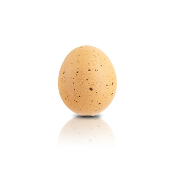 A chicken egg isolated on a white background. Close-up of a raw egg with reflection and shadow.